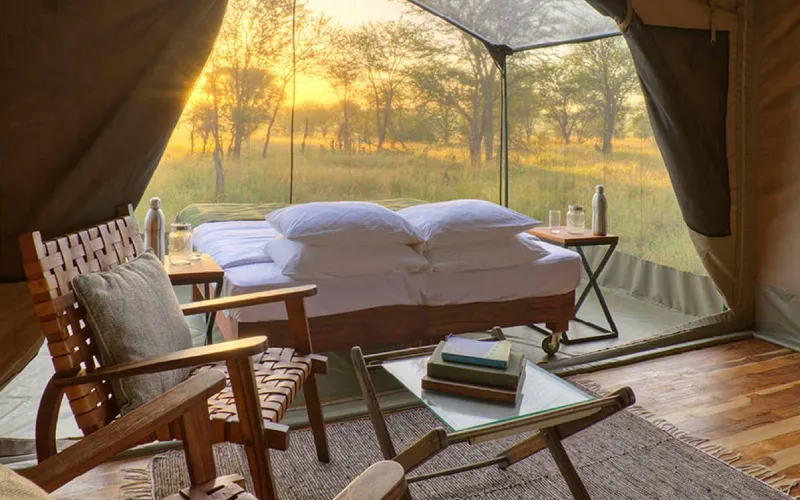 Safari Camps That Follow the Migration