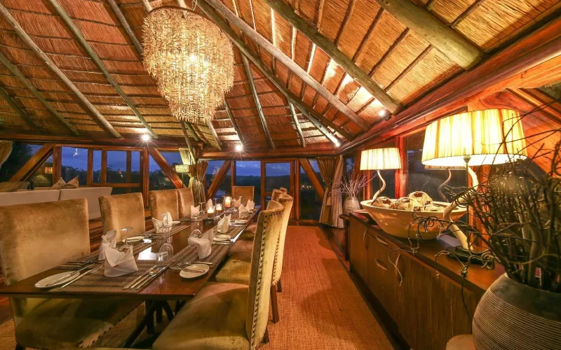 Safari Lodge Dining Experience – What to Expect