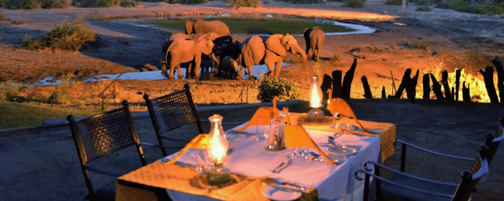 Safari Lodges Near Tarangire River – Elephant Paradise