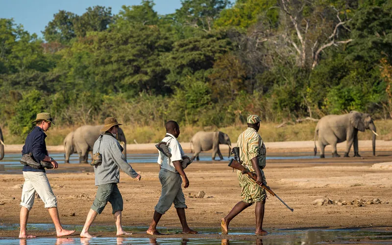Safari Lodges Offering Walking Safaris