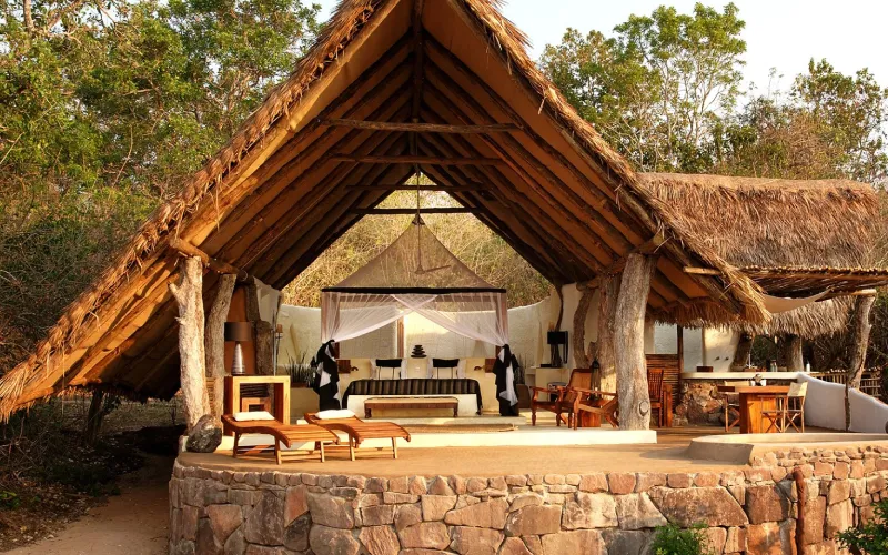 Safari Lodges with Big Five Sightings Nearby