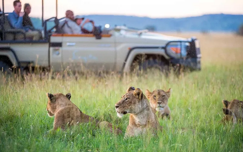 Safari Routes Explained: Northern vs Southern Circuit