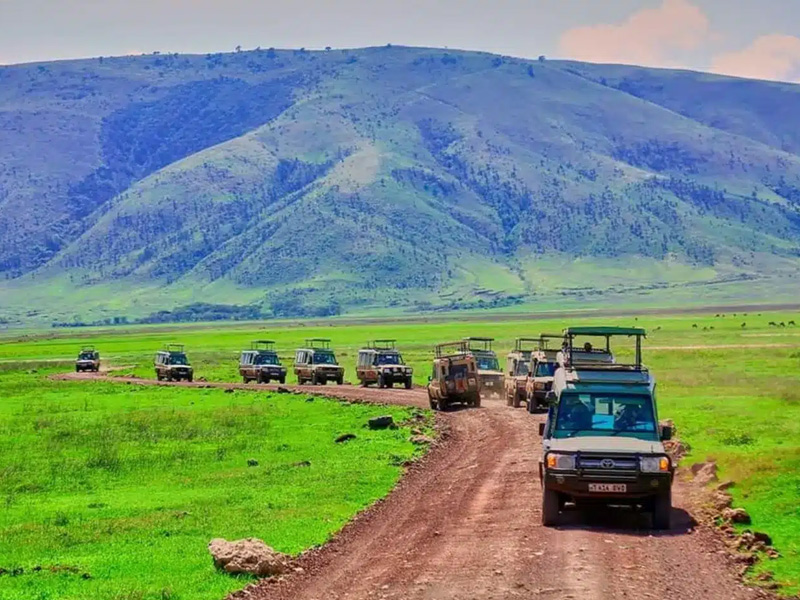 Safari and kilimanjaro itinerary.