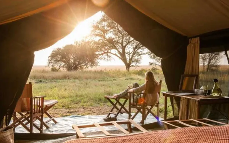 Serengeti Migration Camps: Where to Stay Close to the Action
