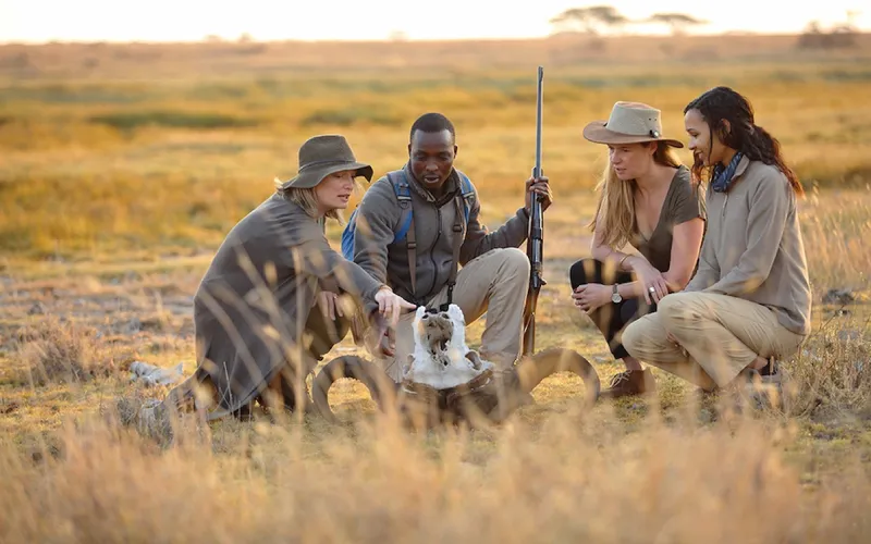 Tanzania Safari with Private Guide – Is It Worth It?