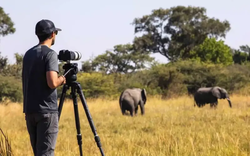 Tanzania Safari with Professional Photography Guides