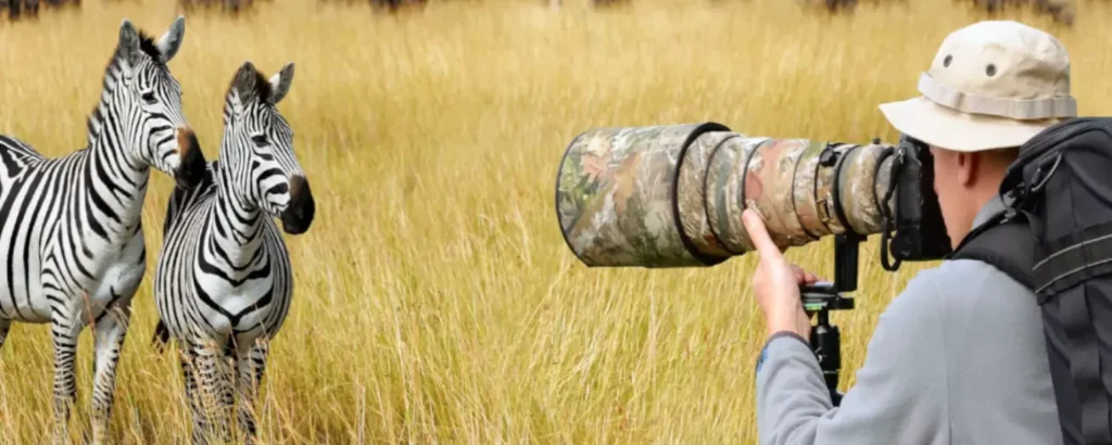 Tanzania Safari with Professional Photography Guides
