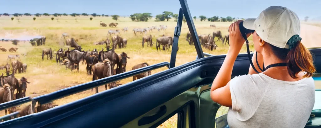 Wildebeest Migration Photography Secrets from Safari Guides