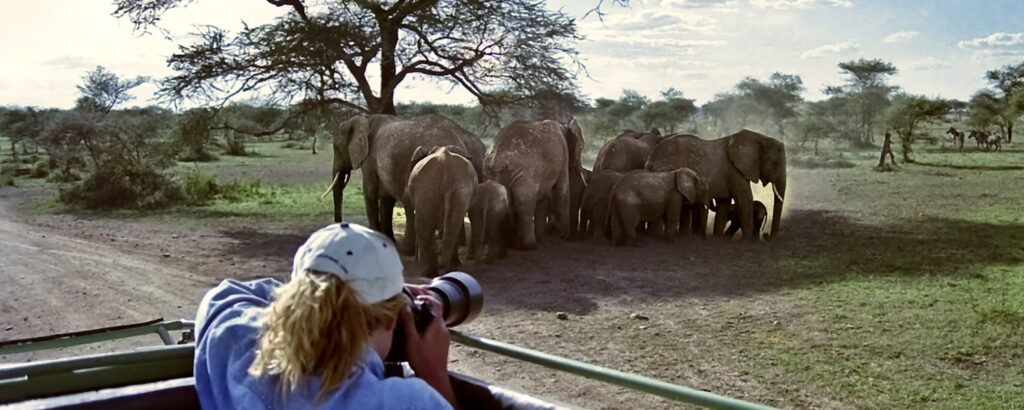 Zanzibar as the Perfect Finish After a Safari