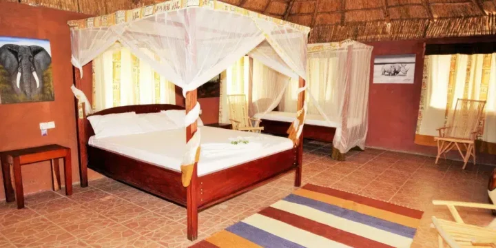 Africa Safari Selous
