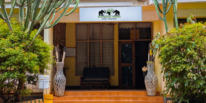 Elephant Motel (1)