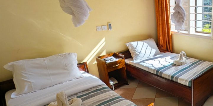 Elephant Motel (2)