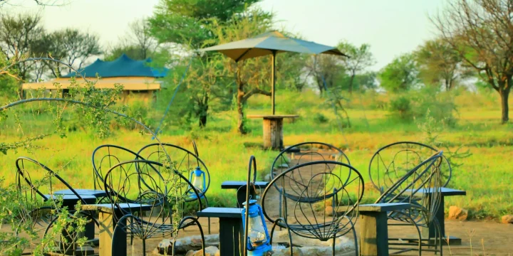 Ndutu Mobile Camp 1