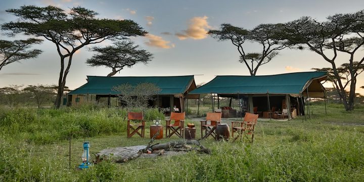 Nyikani Migration Camp 2