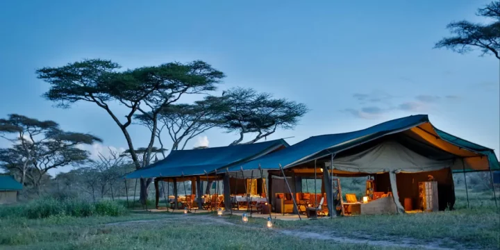 Nyikani Migration Camp