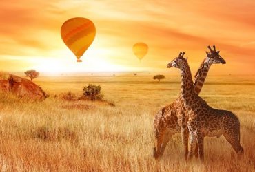 balloon_safari__1
