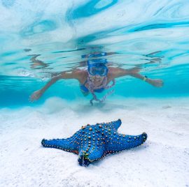 blue-lagoon-zanzibar-snorkeling-1-1024x768-1