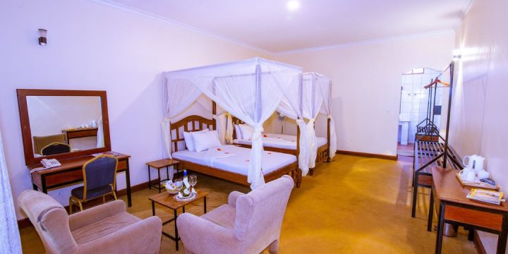 eileens-trees-inn-lodge-2-1