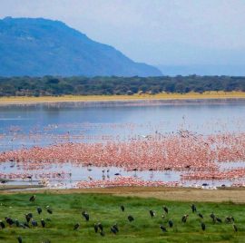 lake-manyara-1-1110x700
